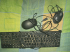Keyboard With 2 mouse